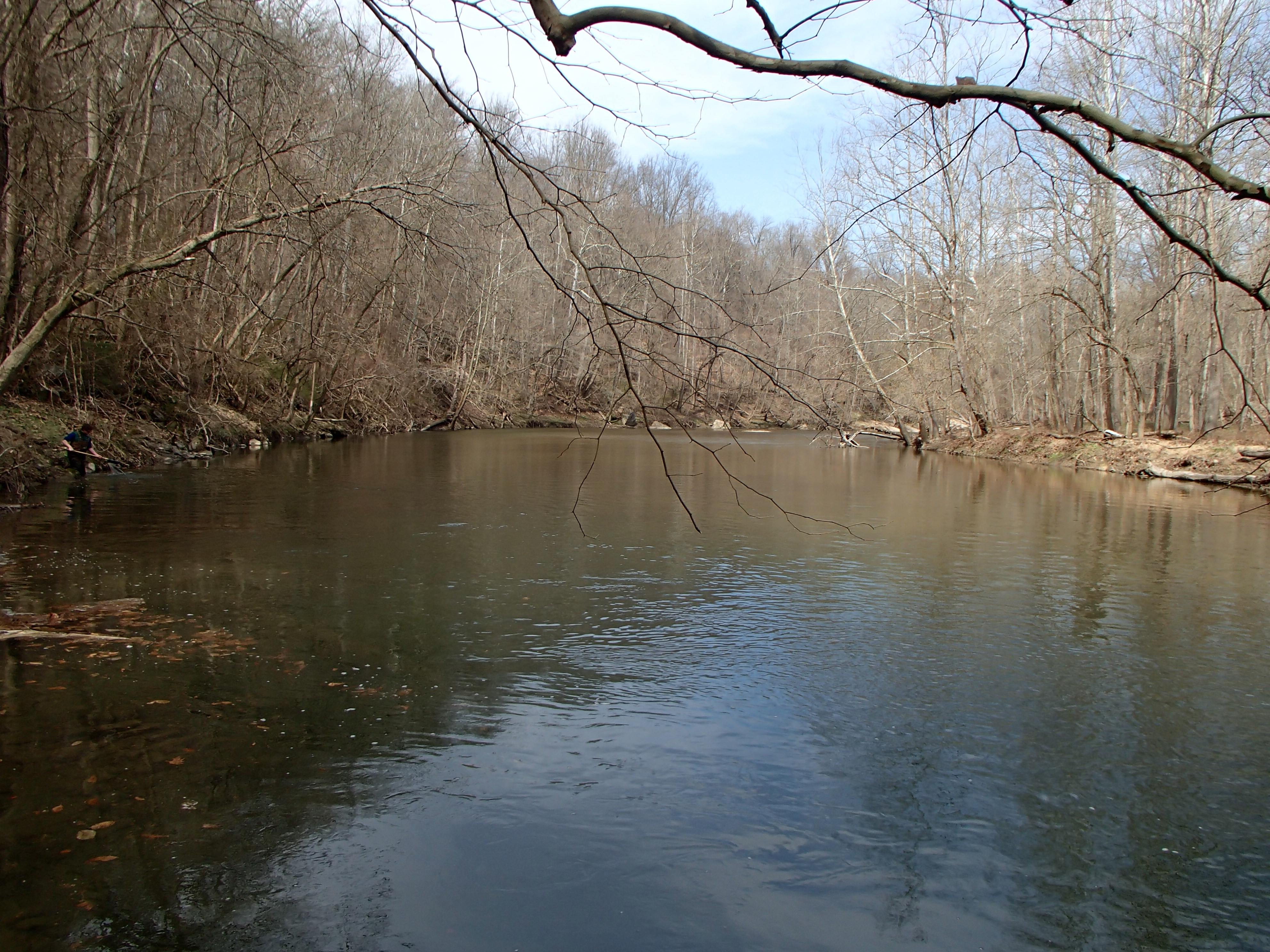 Field photo showing stream conditions at site PATL-515-X-2016_midpoint looking upstream